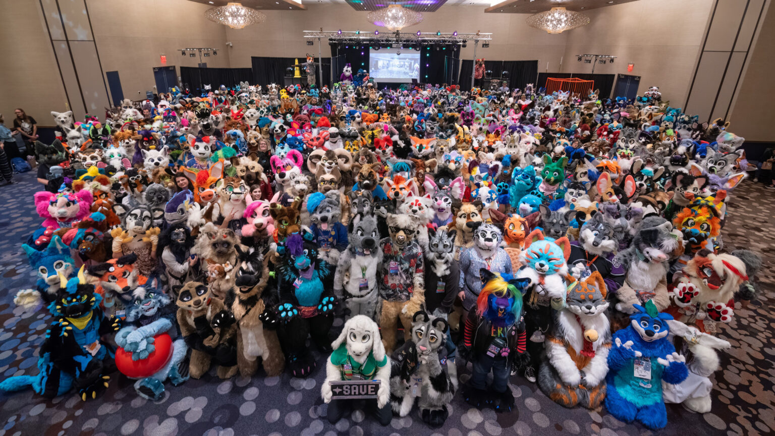 Wrapping Up Furry Migration 2023 A Standing Ovation to All! • Furry