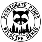 Charity Logo Passionate Pines Wildlife Rehab